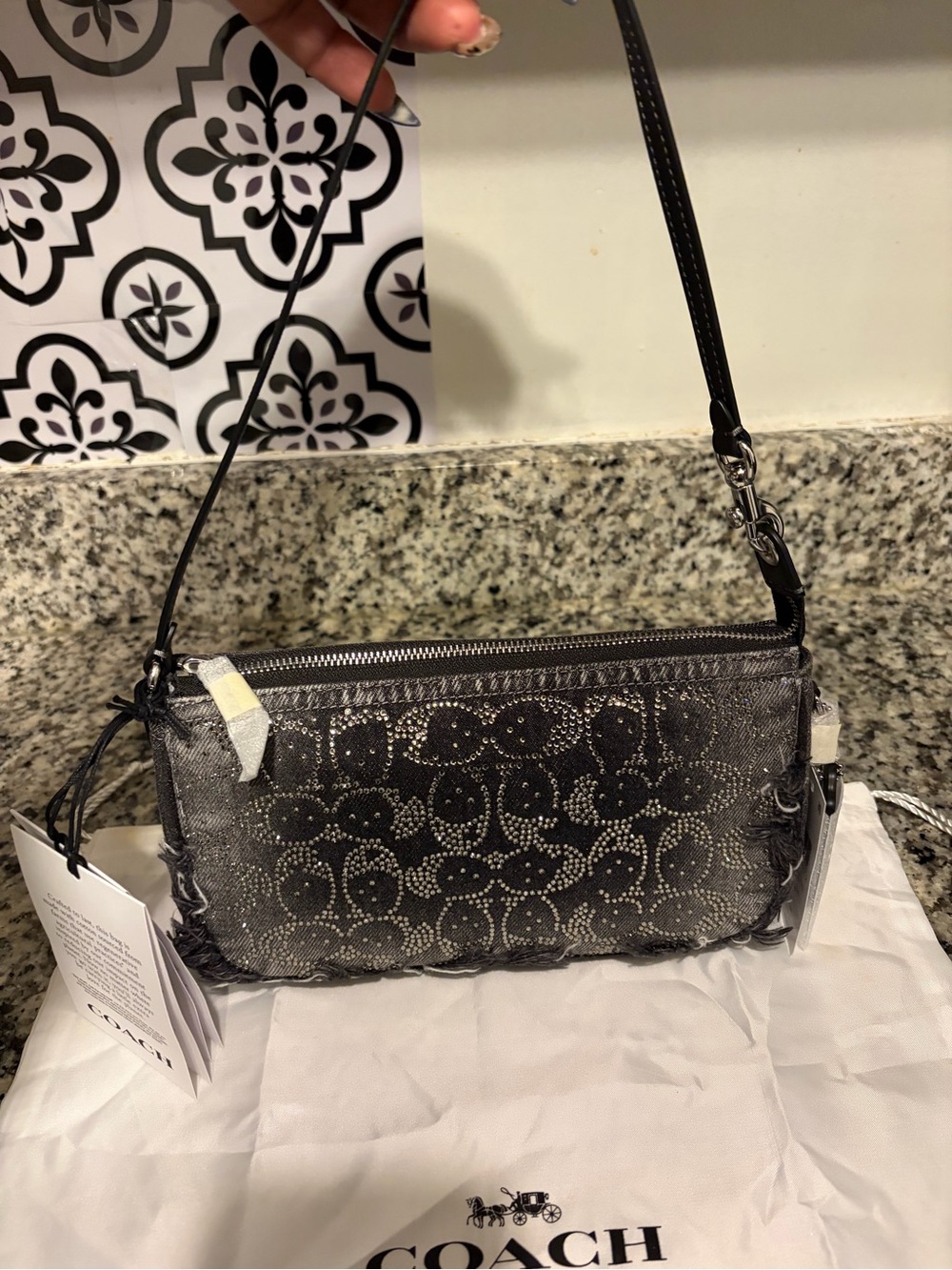 COACH plaza loved crystal signature Shoulder Bag